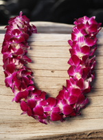 double purple orchid lei